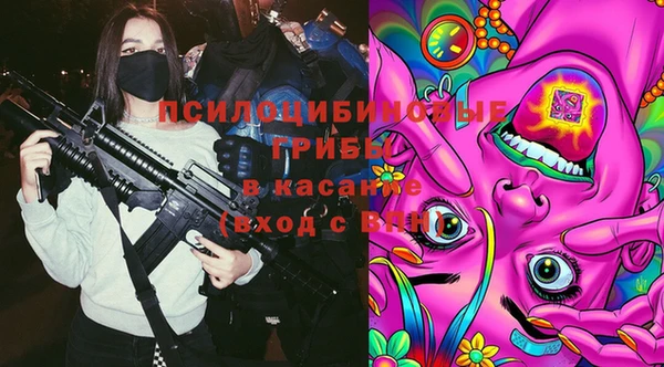 каннабис Елизово