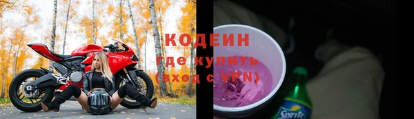 бошки Ельня