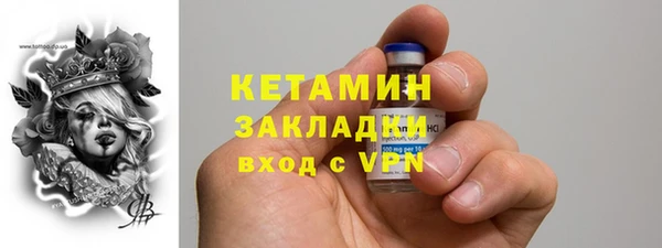 индика Заволжье