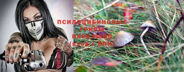 не бодяженный Заводоуковск
