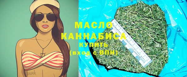 индика Заволжье