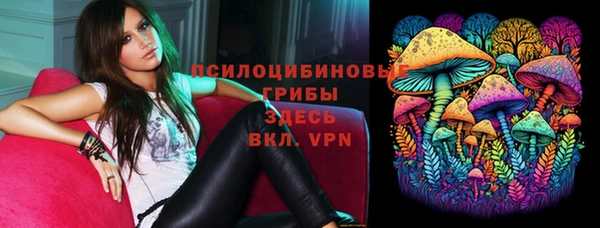 хмурый Дмитровск