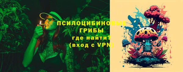 бошки Ельня
