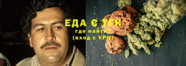 индика Заволжье