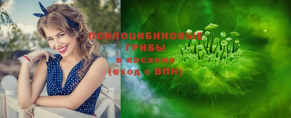 бошки Ельня